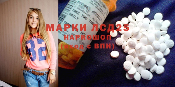 мяу мяу мука Алзамай
