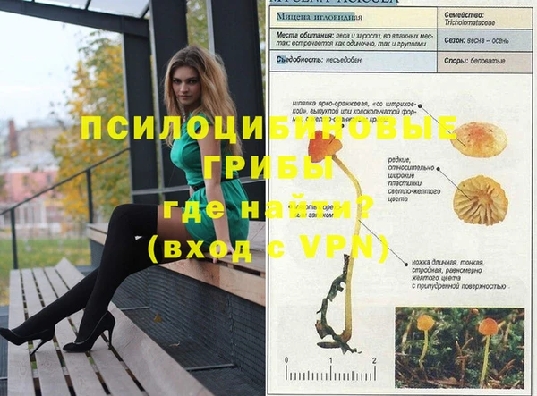 мяу мяу мука Алзамай