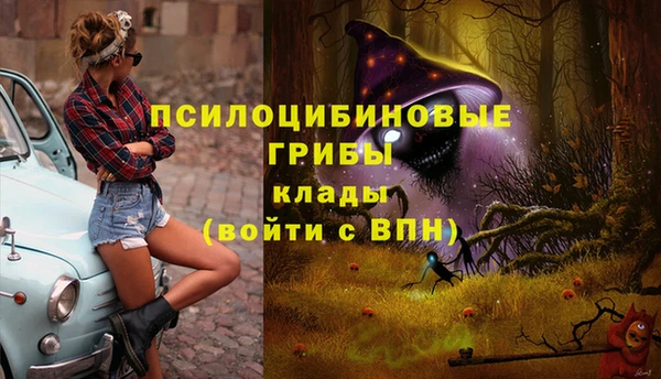 МДПВ Алексеевка