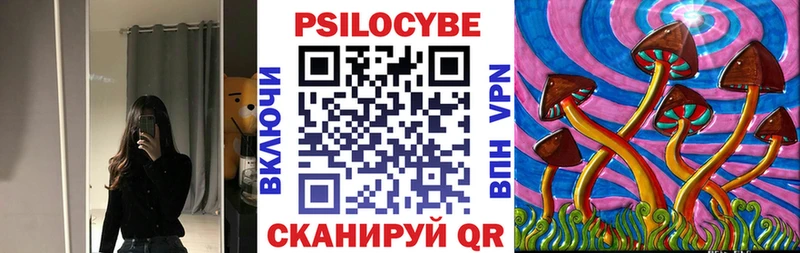 дарк нет телеграм  Медынь  Псилоцибиновые грибы мухоморы  как найти наркотики  ссылка на мегу онион 